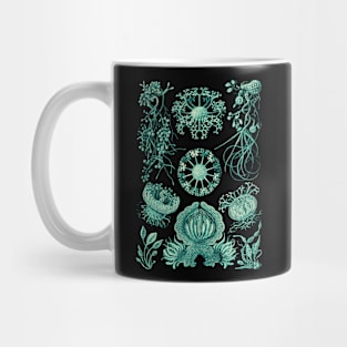 Ernst Haeckel Ascomycetes Mold Mug